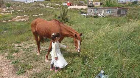 Learning Survival Skills Image